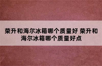 荣升和海尔冰箱哪个质量好 荣升和海尔冰箱哪个质量好点